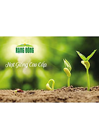 Hạt giống Ớt Hiểm Lai RADO 789 gói 0,2gr sai trái, cay nồng - NON GMO- Hạt giống Rạng Đông, Chất lượng vượt trội !