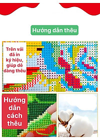 product-img-2