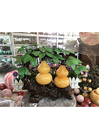 Cây tài lộc bầu Hồ Lô đôi phong thủy đá ngọc hoàng long - Cao 32 cm