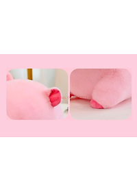 product-img-5