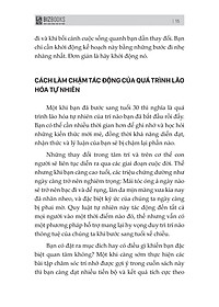 product-img-13