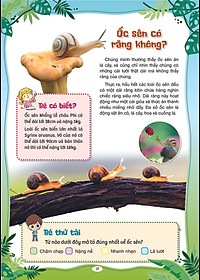 Sách Phát Triển Tư Duy Và Ngôn Ngữ Cho Trẻ - 10 Vạn Câu Hỏi Vì sao - Cùng Trẻ Khám Phá Thế giới Xung Quanh