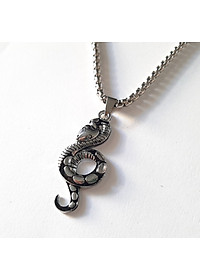 Dây chuyền nam, mặt hợp kim không gỉ si mạ, dây titan cao cấp rộng 3-4mm, dài 50cm