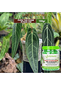 Phân tan chậm Rynan 230, chai 150gr, chuyên kiểng lá, dưỡng lá xanh, sinh trưởng khoẻ |Greenhome
