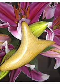 product-img-1