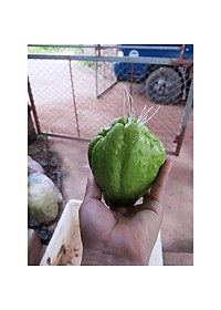 product-img-0