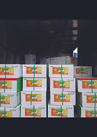 VITAMIN C TẠT - Vitamin chống sốc môi trường, giảm stress