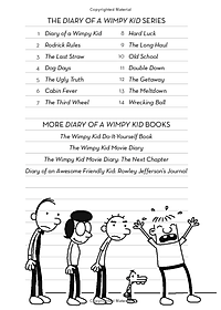 Diary Of A Wimpy Kid 14: Wrecking Ball