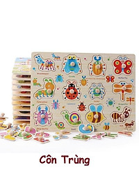 Bảng núm gỗ Ghép Hình Nhiều Chủ Đề Cho Bé