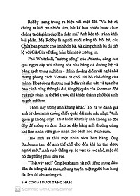 Sách Cô Gái Dưới Tầng Hầm