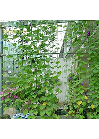 Lưới Làm Giàn Leo Siêu Bền