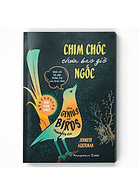 Sách Chim Chóc Chưa Bao Giờ Ngốc (Giải Mã Bộ Não Thiên Tài Của Loài Chim)