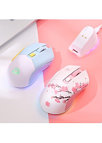 product-img-2