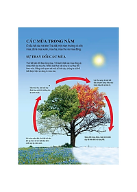 Sách Bách Khoa Tri Thức Dành Cho Trẻ Em