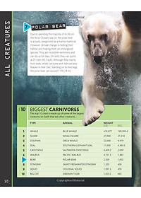 product-img-12