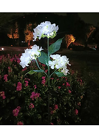 product-img-11