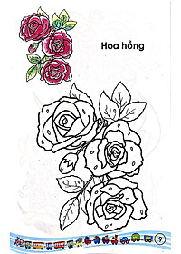 product-img-12