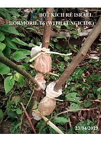 Bột Kích Ra Rễ Israel cho cây Thân Gỗ Hormoril T6 (T with Fungicide)
