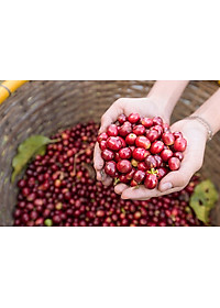 Cà Phê Hạt Nguyên Chất 100% Espresso Hemera Coffee (250g)