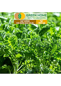 Hạt Giống Cải Xoăn Kale Greenhome, Gói 5g, Dễ Trồng Quanh Năm, Nảy Mầm Cao, Thu Hoạch Nhanh, Năng Suất Cao R16