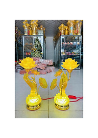 product-img-1