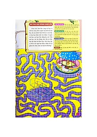 product-img-4