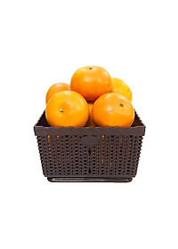 product-img-8