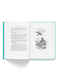 product-img-2
