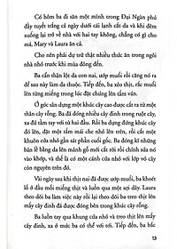 product-img-7