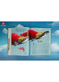 product-img-4