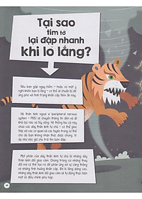 Sách Có Gì Trước Big Bang