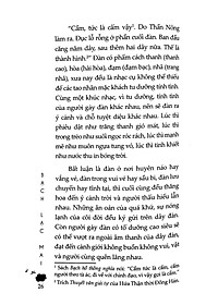 product-img-6