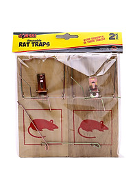 product-img-2