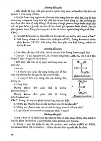 Bồi Dưỡng Học Sinh Giỏi Sinh Học 10 (Dùng Chung Cho Các Bộ SGK Hiện Hành) 