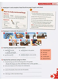 product-img-12