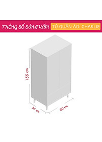 Tủ áo gia đình thiết kế hiện đại SMLIFE Charlie