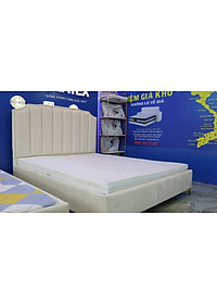 Nệm cao su Vạn Thành Standard CSVT-ST1610 (160 x 200 x 10cm)
