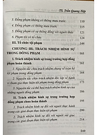 Đồng Phạm Trong Luật Hình Sự Việt Nam