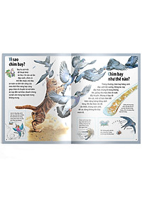 Sách Em Muốn Biết Vì Sao Ngỗng Trời Bay Xa Và Những Câu Hỏi Khác Về Chim 
Chóc