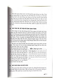 product-img-10
