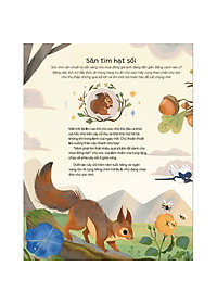 product-img-8
