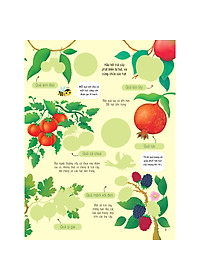 product-img-6