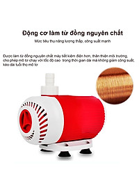product-img-4