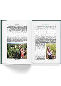 Sách Du Ký Phan Quang - Tiếc Nuối Hoa Hồng