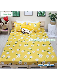 product-img-8