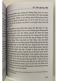 Đồng phạm trong luật hình sự Việt Nam