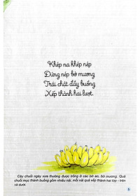 Sách Câu Đố Dân Gian Bằng Tranh - Cây Cối (Tái Bản 2019)