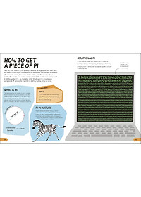 Sách What's the Point of Maths? (Hardback)