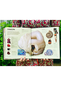 product-img-7