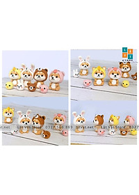 product-img-6